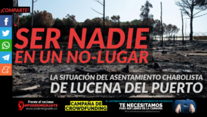 la situación del asentamiento chabolista de Lucena del Puerto
