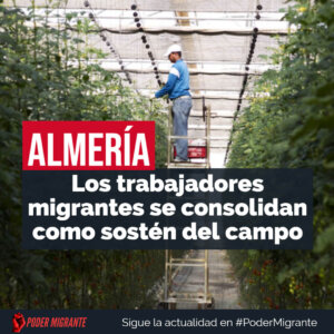 ALMERÍA. Los trabajadores migrantes se consolidan como sostén del campo